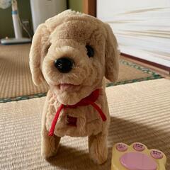 犬のおもちゃの画像