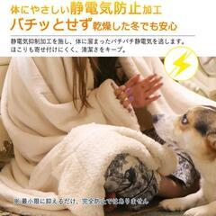 毛布 シングル 二枚合わせ

秋 冬用の画像
