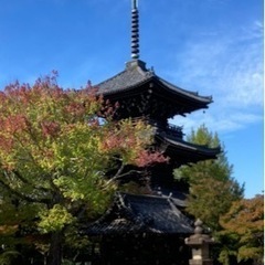 【京都を巡る会（11月）活動ツアー】2023
