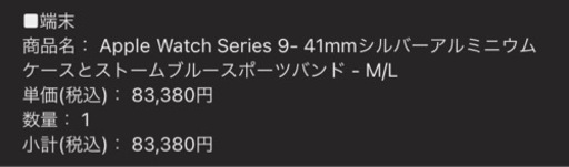 Apple Watch Series 9- 41mmシルバーアルミニウムケースとストームブルースポーツバンド - M/L