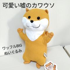 【決定】可愛い嘘のカワウソ すみっコぐらし 白濱亜嵐の画像
