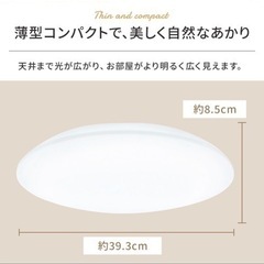 【お取引中】10/28(土)限定の画像