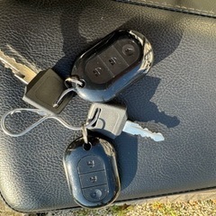 電動スクーター　GOCCIA GEV600🎵　取りに来て下さる方限定　の画像