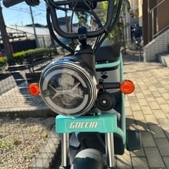 電動スクーター　GOCCIA GEV600🎵　取りに来て下さる方限定　の画像