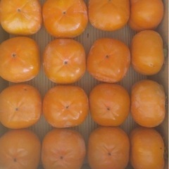 【取引中】次郎柿　10kg①の画像