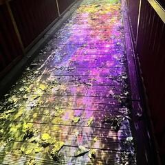 最終！JOZANKEI NATURE LUMINARI　最高クラ...