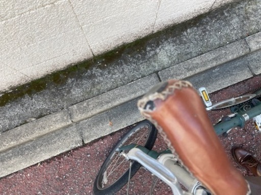 家具 dahon boardwalk
