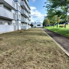 団地の草刈り対応致します。