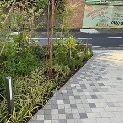 【スタッフ大募集1名】世田谷マンションの日常清掃！の画像