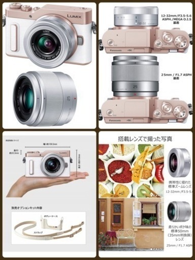Panasonic パナソニック ミラーレス一眼カメラ ルミックス Lumix GF90
