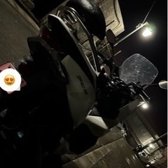 PCX 81 期間限定