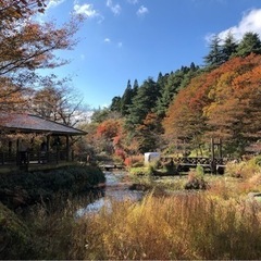 11/4六甲山植物園🍁ハイキングとジンギスカン