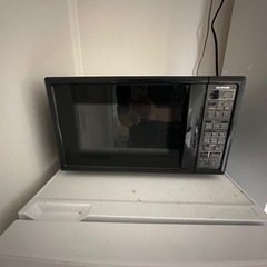 アイリスオーヤマ電車レンジ