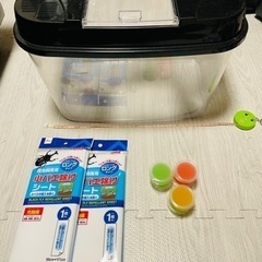 飼育ケース　セット　大