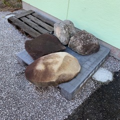 庭石　50cmー80cm