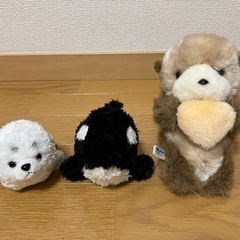 アザラシ・シャチ・ラッコのぬいぐるみ