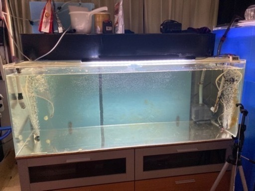 大型水槽1200規格水層です大型魚や熱帯魚、金魚、メダカなどにいかがですか？