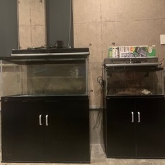 水槽セット