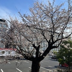 おじさん、おばさん世代を楽しもう − 東京都