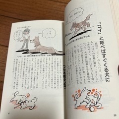 愛犬の飼い方としつけの画像
