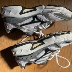 ミズノ シューズ 25.0cmの画像