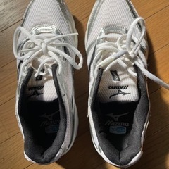 ミズノ シューズ 25.0cmの画像