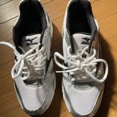 ミズノ シューズ 25.0cmの画像