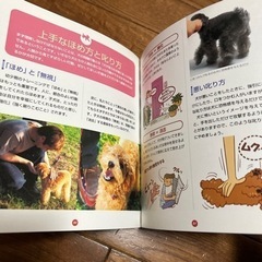 トイ・プードルはじめてのしつけの画像