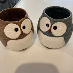 急須と湯呑みペアセットの画像