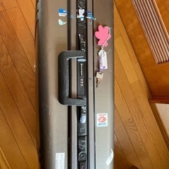 キャリーケース大型の画像