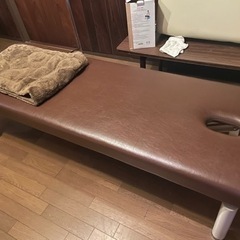 医療用マッサージベット