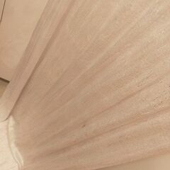 ハンモックの画像