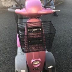 セニアカー　セリオ　遊歩ステップの画像