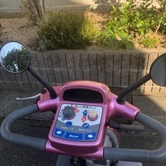 セニアカー　セリオ　遊歩ステップの画像