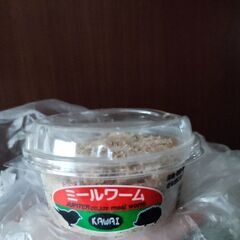 ミルワーム(約10g又は150匹程度)※少量使用済み
