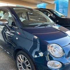 FIAT Thaffiro（フィアット　ザッフィロ）の画像