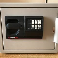 Sentryの中古が安い！激安で譲ります・無料であげます(5ページ目