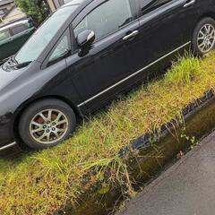 オデッセイ
