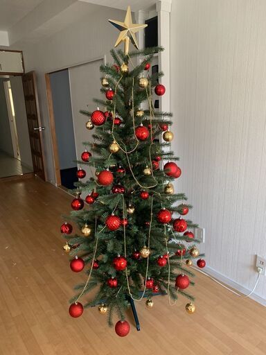 クリスマスツリー　IKEA　FEJKA　180cm　