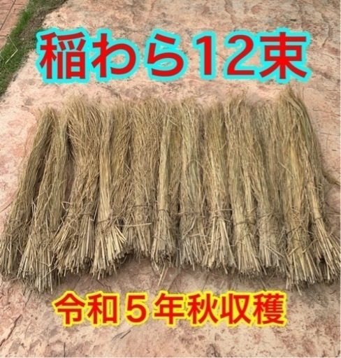 《5》稲藁（稲わら）12束