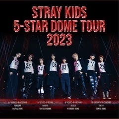【取引終了】Stray Kids ライビュチケット 10/29 ...