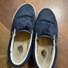 VANS バンズ 青 モフモフの靴の画像