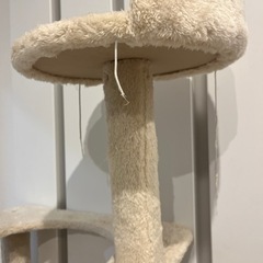 キャットタワーの画像