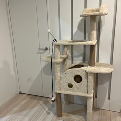 キャットタワーの画像