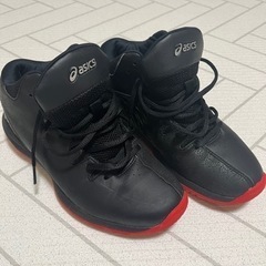 バッシュ(レディース)