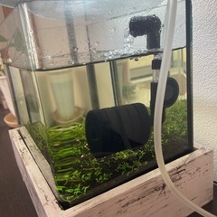 小型水槽セットの画像