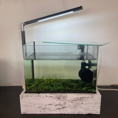 小型水槽セット