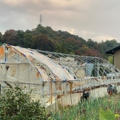 ビニールハウス、骨組み資材の画像