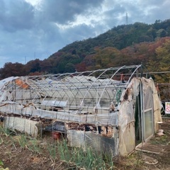 ビニールハウス、骨組み資材の画像