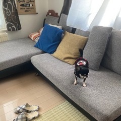 L字ソファー